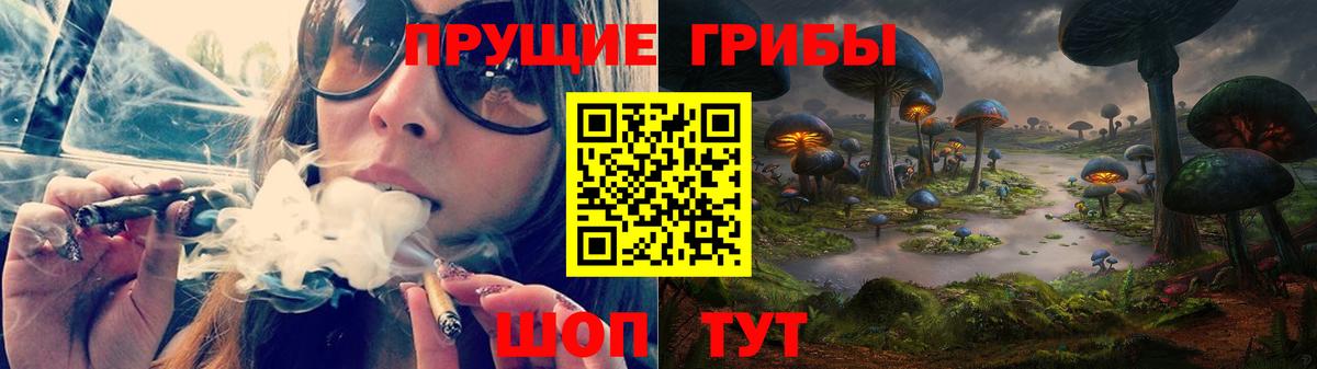 Псилоцибиновые грибы мицелий  Вход с VPN  Малгобек 