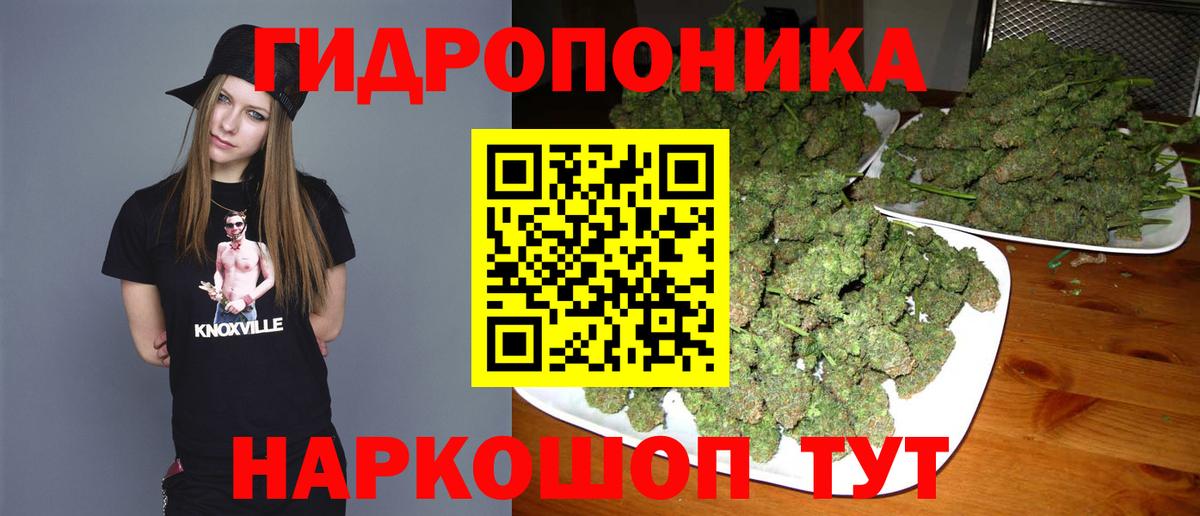 Конопля SATIVA & INDICA Малгобек